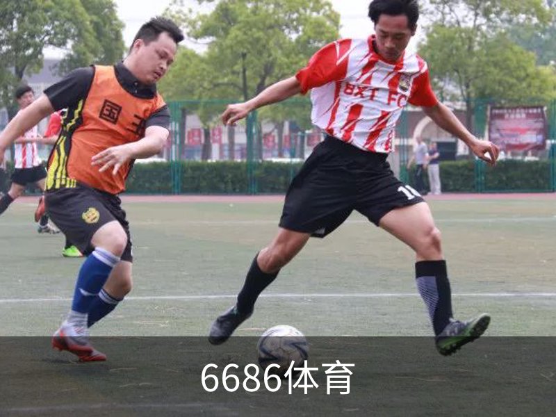 了解6686体育